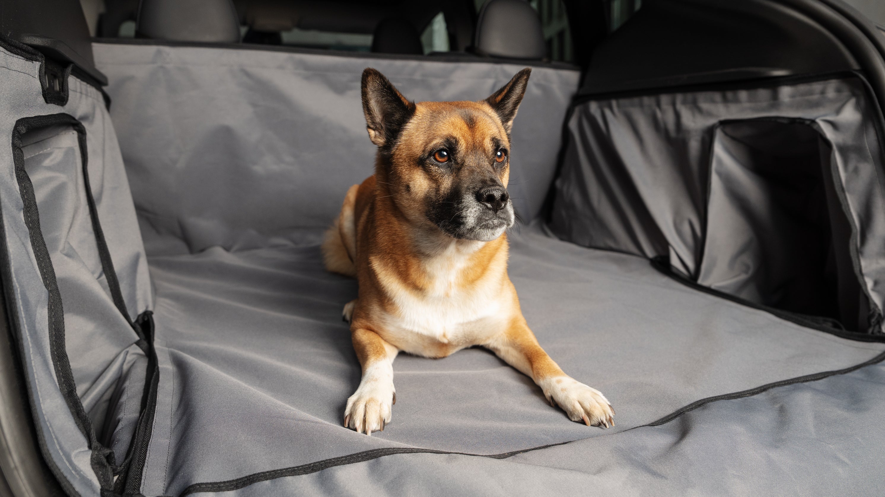 2befair Köpekler, günlük yaşam ve kargo için araba bagajı koruması - aşağıdakiler için uygundur Tesla Model Y